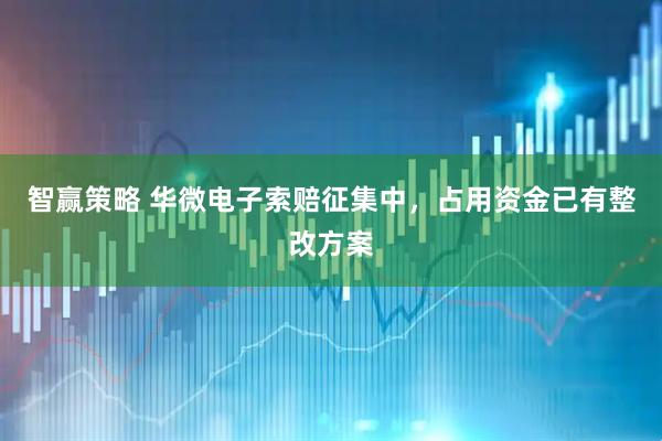 智赢策略 华微电子索赔征集中,占用资金已有整改方案